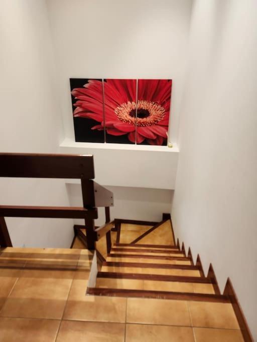 Апартаменти Duplex Rua Sol - Netflix Лаше Екстер'єр фото
